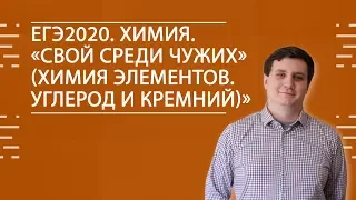 ЕГЭ2020. ХИМИЯ. «Свой среди чужих» (Химия элементов. Углерод и кремний)