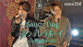 Saucy Dog「シンデレラボーイ」Covered by OZZ