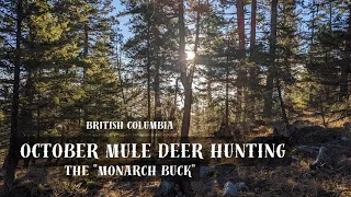 Mid October MULE Deer HUNTING 2023....Giant Monarch Buck!!!