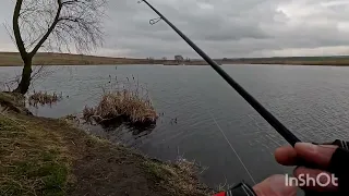 ОКУНЬ - цікавиться,але не зажовує.