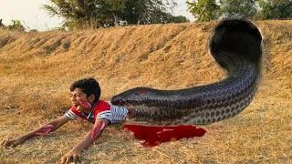 DIY SNAKE TRAP TECHNOLOGY, CREATIVE BUILD UP FROM TRADITIONAL BAMBOO FISH TRAP