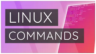 Linux Commands Explained in 1 Minute #Shorts