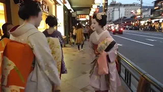 京都・祇園白川周辺　桜の下の巽橋を行く舞妓さん（豆純さん、まめ衣さん、豆珠さん）　Maiko under cherry blossoms at Gion-Shirakawa, Kyoto