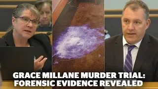 Grace Millane murder trial: Forensic evidence revealed | nzherald.co.nz