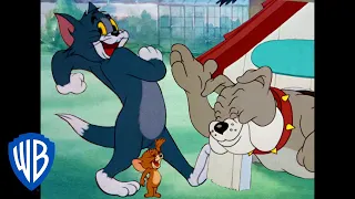 Tom & Jerry in italiano | La Serata Divertente | WB Kids