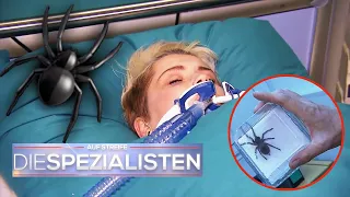 Giftigste SPINNE der Welt??? 🕷☠ Frau wird nach BISS ins KOMA versetzt 😱 ​| Die Spezialisten | SAT.1