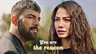 Farah & Tahir • You Are The Reason [ Adım Farah ]