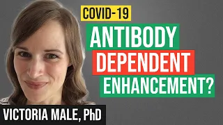 Antibody Dependent Enhancement: What Is It? Does it Occur With COVID 19 Vaccines?