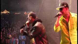 Baby Rasta y Gringo Feat Daddy Yankee y Don Omar (Guaya Guaya Fest 2010)