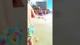 Shark Attack on Crowded beach