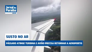 Pássaro atinge turbina e avião precisa retornar a aeroporto na Paraíba