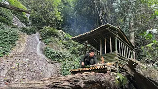 Solo Bushcaft: Complete bamboo houses for shelter in the rainforest. 365 days Solo Bushcaft.