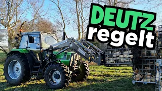 POLENFRONTLADER am DEUTZ! | Kisten stapeln übern FROST... | Inter-Tech | DEUTZ DX | IHC 633 Mr. Moto