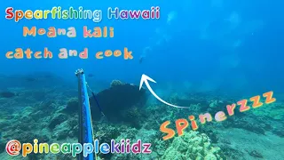 SPEARFISHING HAWAII! Rabbit island DEEP dive | Moana kali CATCH AND COOK!