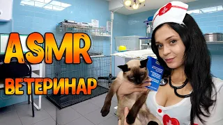 АСМР Ролевая игра [ Ветеринарная клиника ] ASMR Roleplay