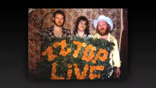 ZZ Top Live Detroit, MI July 10, 1974