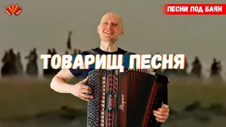 Товарищ песня. Из к/ф "Как закалялась сталь". Баянист Евгений Попов. Песни под баян.