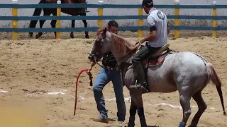 MELHORES MOMENTOS DO 2° DIA CLASSIFICAÇÃO PROFISSIONAL PARQUE LUCAS MADEIRO | CPV 2023