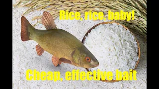 Rice - a surprisingly good fishing bait