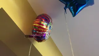 Dog HATES birthday balloons