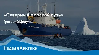 Онлайн-лекция «Северный морской путь: по арктическим рубежам России»