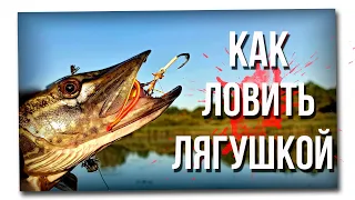 Как ловить на лягушку незацепляйку? 🐸