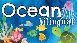 Ocean Bilingual Storytime