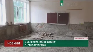 Школу атакує пліснява у селі Красноїллі