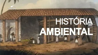 A história ambiental do Brasil: como era na época da Independência e o que mudou em 200 anos