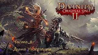 Divinity original sin 2.  Прохождение на русском. Часть 8: Кувшин душ