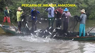 JARAQUI FISHING IN LAKE TEFÉ, AMAZONAS.