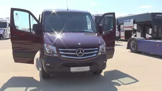 Mercedes-Benz Sprinter 316 CDI Panel Van (2015) Exterior and Interior