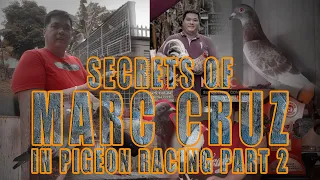 SECRETS OF MARC CRUZ IN PIGEON RACING PART 2