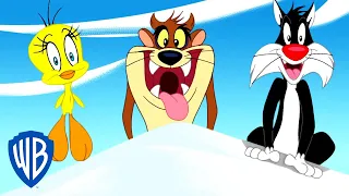 Looney Tunes po polsku 🇵🇱 |  Pora na przygodę z Tweetym, Tazem i Sylwestrem | WB Kids