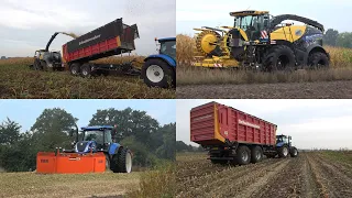 Mais hakselen en inkuilen door loonbedrijf Bouwhuis met New Holland FR550 en 3 T7 trekkers (2022)