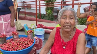 TEMPORADA DE CIRUELAS EN LOS PUEBLOS DE GUERRERO, MEX. | DE RUTA X LA COSTA CHICA, SAN MARCOS.