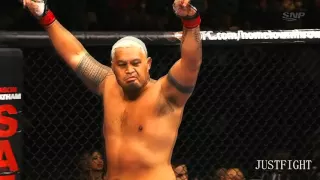 mark hunt марк хант подборка боев