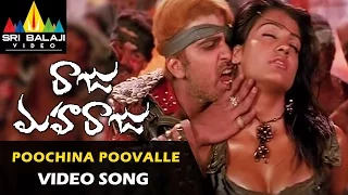 Raju Maharaju Songs | Poochina Poovalle Video Song | Mohan Babu, Sharwanand | Sri Balaji Video