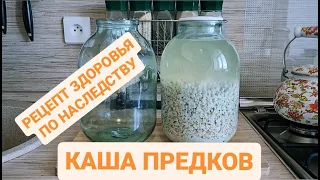 СТАРО СЛАВЯНСКИЙ РЕЦЕПТ ИЗ ПРОШЛОГО - ОВСЯНАЯ КАША