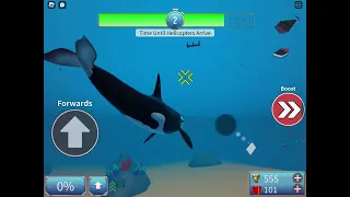 Roblox Sharkbite 2 being a killer whale