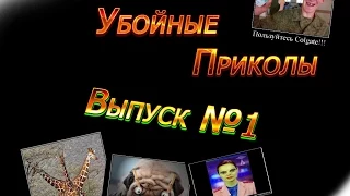 приколы Выпуск №1/Убойные приколы/приколы 2015/приколы/Жесть))