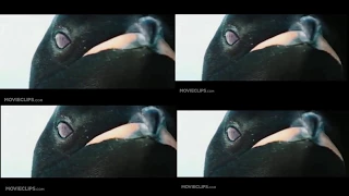 March of the Penguins Movie Trailer Recut