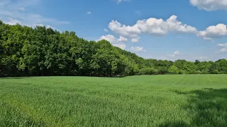 Все как вы любите: разговорчики о внешности, #одесскийбродяга эльфит соотечественников.