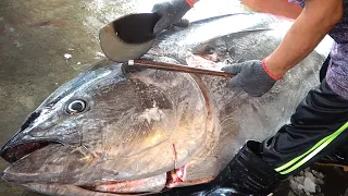 $10,000 Giant Bluefin Tuna cutting for Sashimi & Sushi -Taiwanese street food