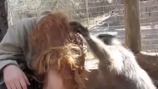 Monkey Grooming Me