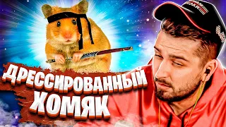 HARD PLAY СМОТРИТ 30 МИНУТ ПРИКОЛЫ / РЕАКЦИЯ ХАРД ПЛЕЙ СМЕШНЫЕ ВИДЕО , ТЕСТ НА ПСИХИКУ , ЮМОР , COUB