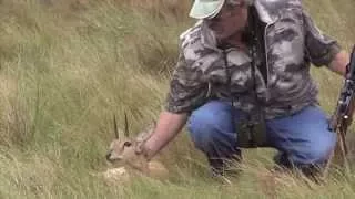 Omni Hunting Safaris - Oribi Hunt