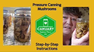 Pressure Canning Mushrooms - #Canuary2024 - Step-by-Step Instructions to Safely Can Button Mushrooms