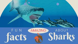 3 Amazing Facts About Sharks - The Ultimate Predator of The Sea
