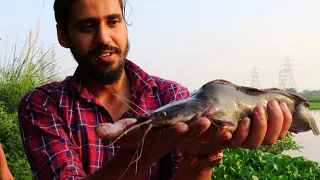 PAKAD HI LIYA Finally ISKO!! | Catching Wild 'Dwarf African Catfish' in Delhi NCR